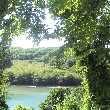 Woodlands Bed and Breakfast Looe Zewnętrze zdjęcie